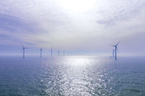 國家能源集團山東B2海上風(fēng)電項目全容量并網(wǎng) 陸路保障與海上壯舉